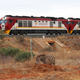 Image for article titled A Chinese Train and Unfinished Railway Could Decide The Next President of Kenya